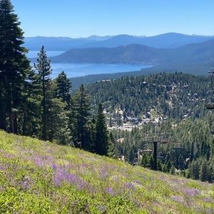 Meet your Posher, Jemma